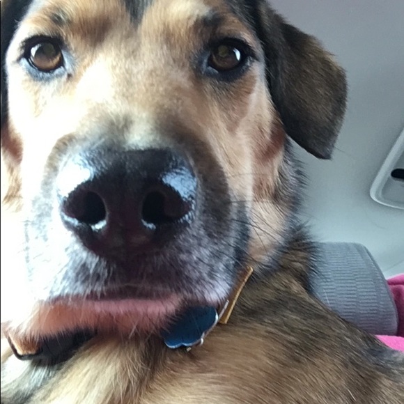 Meet your Posher, Judith - Picture 1 of 1